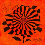 Dried Flower