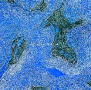 [Lirik dan Terjemahan] sakanaction - Nylon no Ito (Benang Nilon)