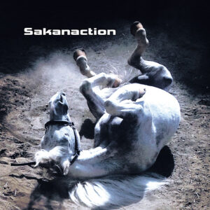 [Lirik dan Terjemahan] sakanaction - Tabun, Kaze. (Mungkin, Angin.)