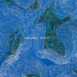 [Lirik dan Terjemahan] sakanaction - Wonderland (Negeri Ajaib)