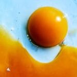 成れの果てで鳴れ