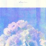 Kenshi Yonezu - Azalea (Shorts Lyrics)