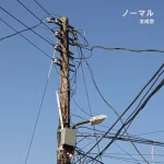 Tomonari Sora - Normal (Shorts Lyrics)
