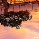 SIX LOUNGE - evergreen (Shorts Lyrics)